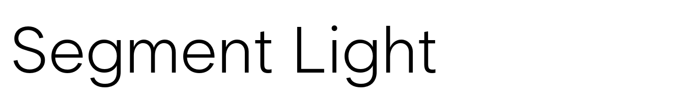 Segment Light